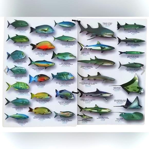 Submersible pocket fish guide-Fish of Tahiti - Picture 3 of 9